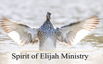 Spirit of Elijah Ministry